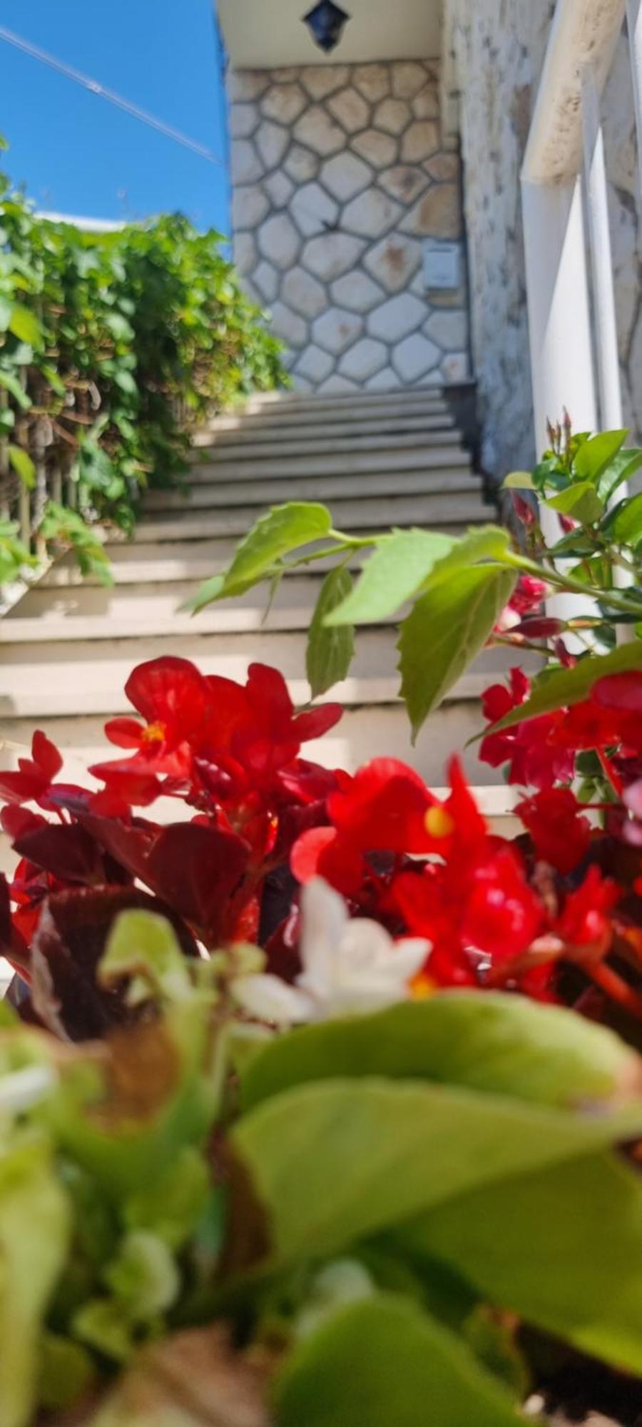 Apartment Lea Bayview Dubrovnik Luaran gambar